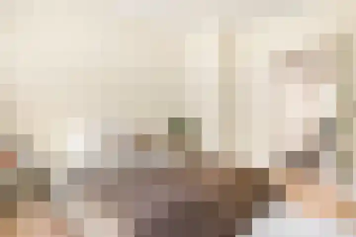 Laurens Reaellaan 80 I Haarlem thumbnail 34