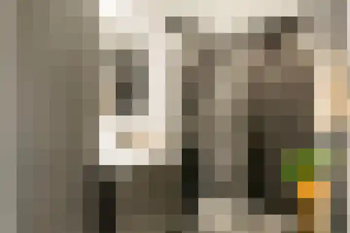 Laurens Reaellaan 80 I Haarlem thumbnail 39