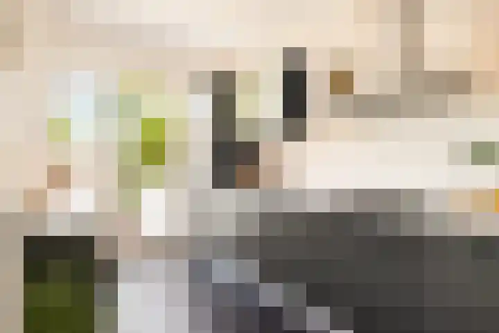 Laurens Reaellaan 80 I Haarlem thumbnail 5