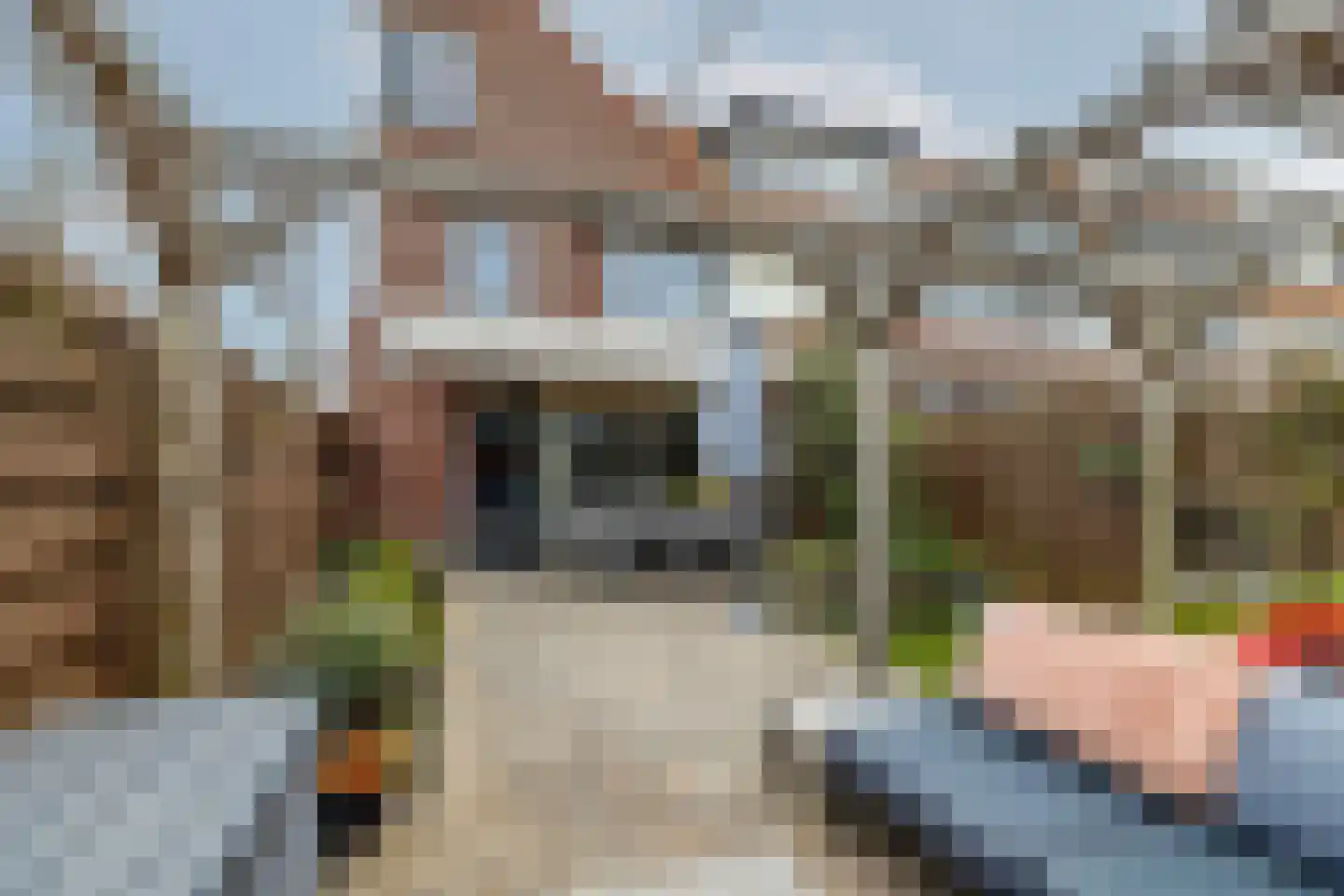 Laurens van Kuikstraat 1 Rotterdam thumbnail 42