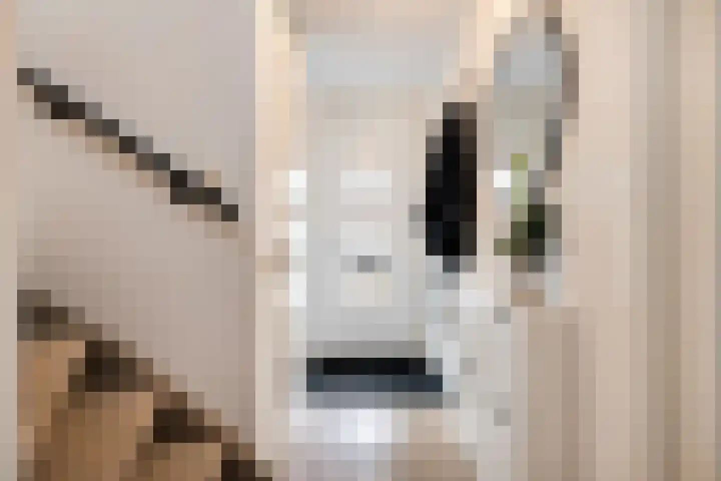 Laurens van Kuikstraat 1 Rotterdam thumbnail 8