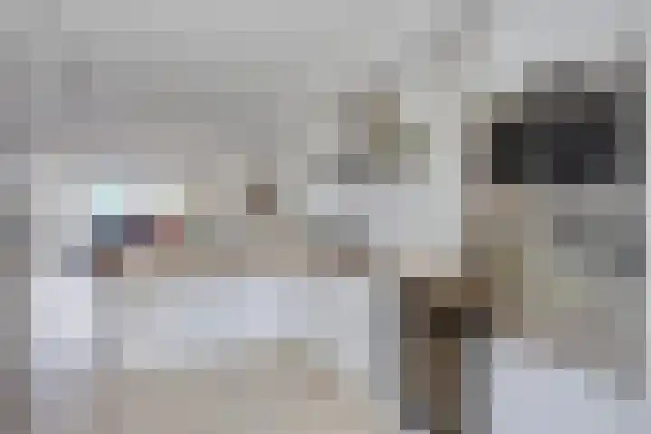 Laurens van Kuikstraat 10 Rotterdam thumbnail 11