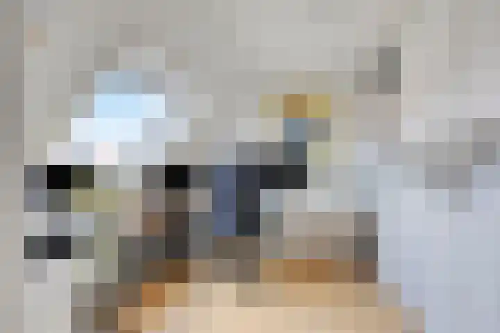 Laurens van Kuikstraat 10 Rotterdam thumbnail 29