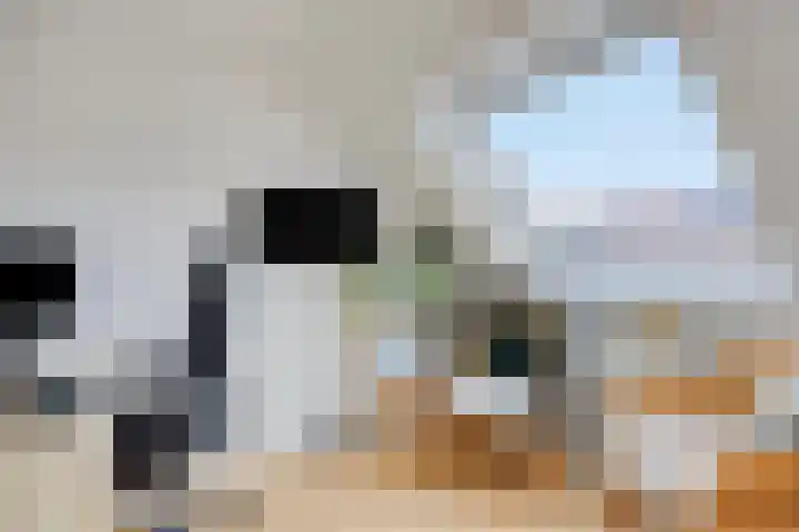 Laurens van Kuikstraat 10 Rotterdam thumbnail 31