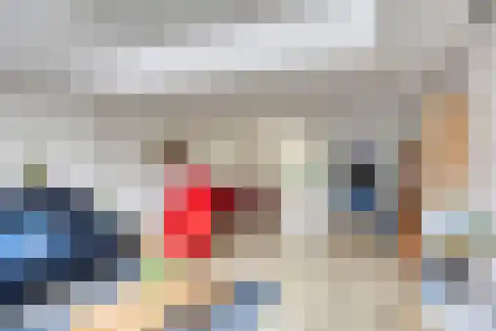 Laurens van Kuikstraat 10 Rotterdam thumbnail 7