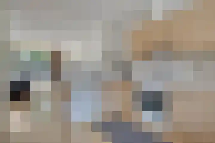 Laurens van Kuikstraat 14 Rotterdam thumbnail 11