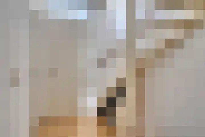 Laurens van Kuikstraat 14 Rotterdam thumbnail 14