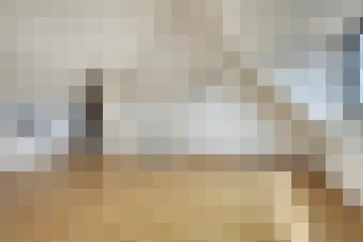 Laurens van Kuikstraat 14 Rotterdam thumbnail 23
