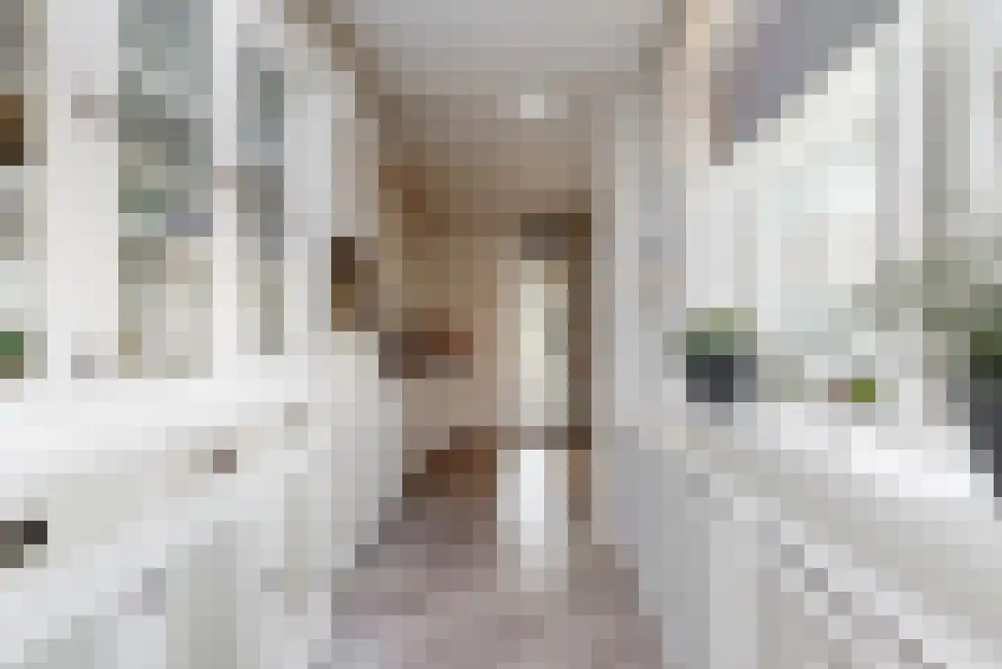 Laurens van Teylingenstraat 14 Medemblik thumbnail 13