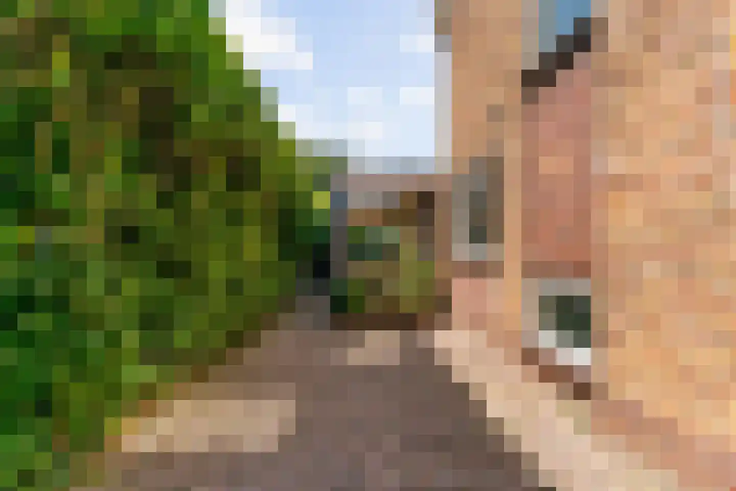 Laurens van Teylingenstraat 20 Medemblik thumbnail 45