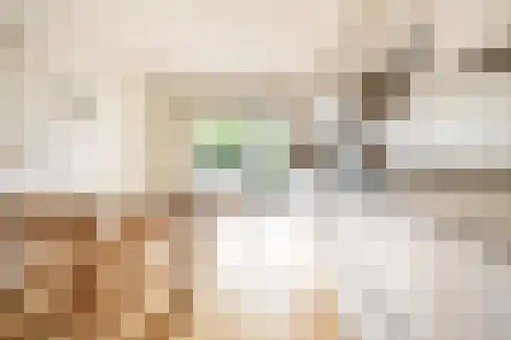 Laurenspark 134 Breda thumbnail 18