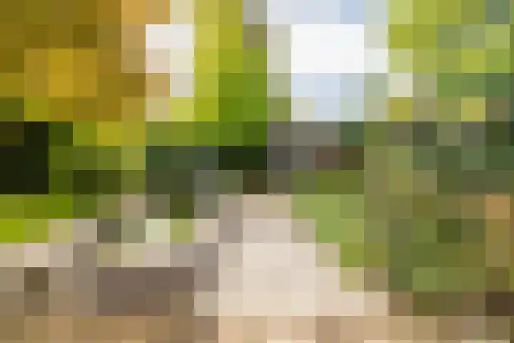 Laurenspark 134 Breda thumbnail 34