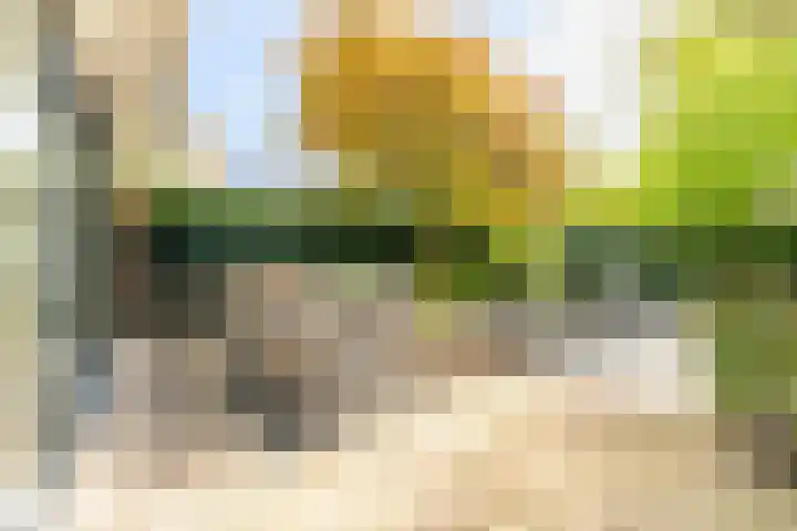 Laurenspark 134 Breda thumbnail 35
