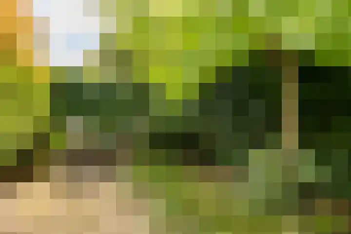 Laurenspark 134 Breda thumbnail 37