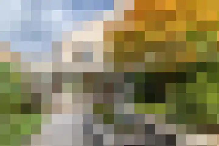 Laurenspark 134 Breda thumbnail 38