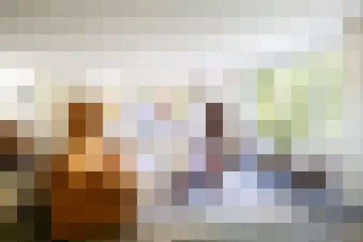 Laurenspark 42 Breda thumbnail 12