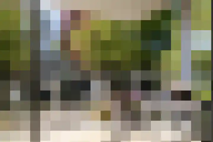 Laurenspark 42 Breda thumbnail 15