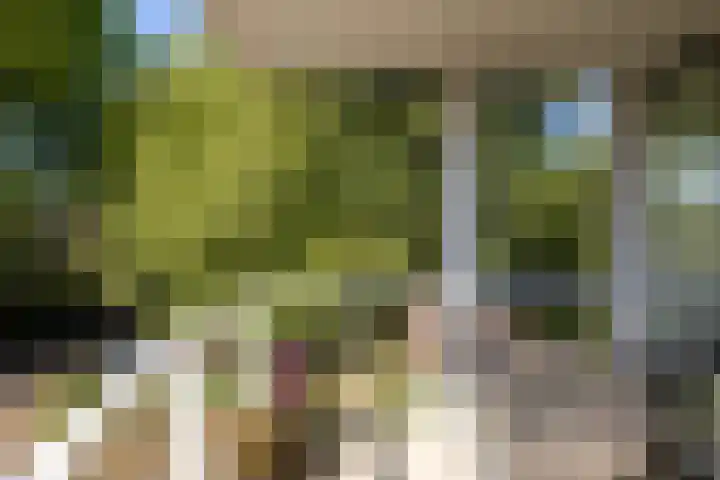 Laurenspark 42 Breda thumbnail 16