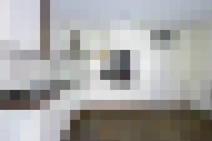 Laurenspark 42 Breda thumbnail 19