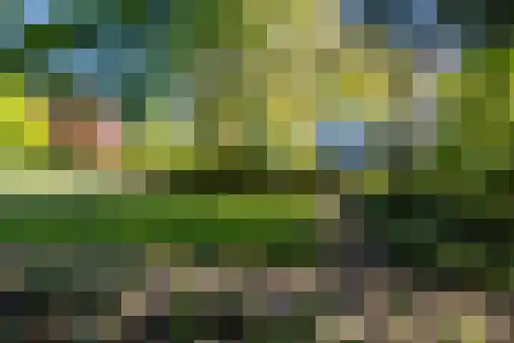 Laurenspark 42 Breda thumbnail 32