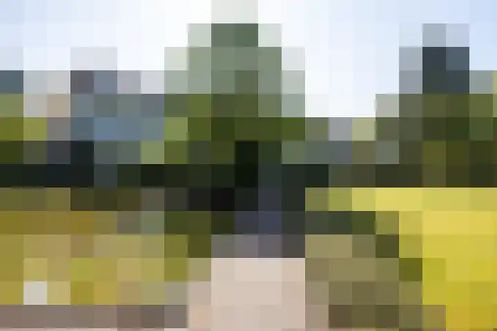 Laurenspark 42 Breda thumbnail 33