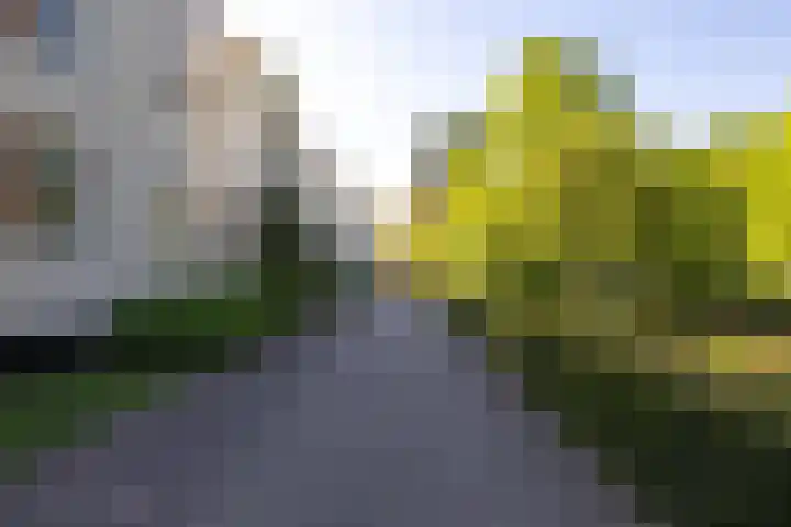 Laurenspark 42 Breda thumbnail 34