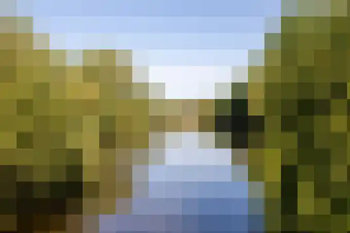 Laurenspark 42 Breda thumbnail 35