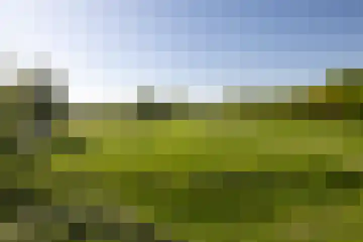 Laurenspark 42 Breda thumbnail 36
