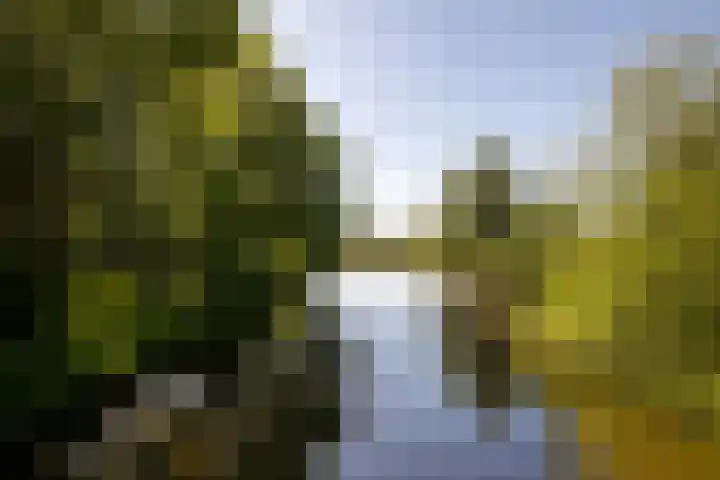 Laurenspark 42 Breda thumbnail 37