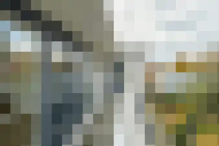 Laurenspark 70 Breda thumbnail 25
