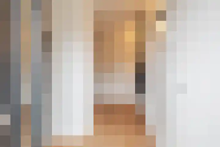 Laurenspark 98 Breda thumbnail 4