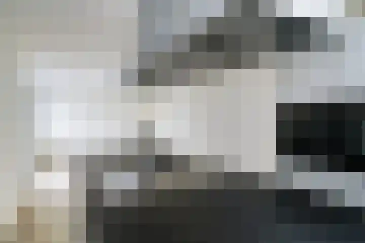 Laurensvliet 1 Zwijndrecht thumbnail 10