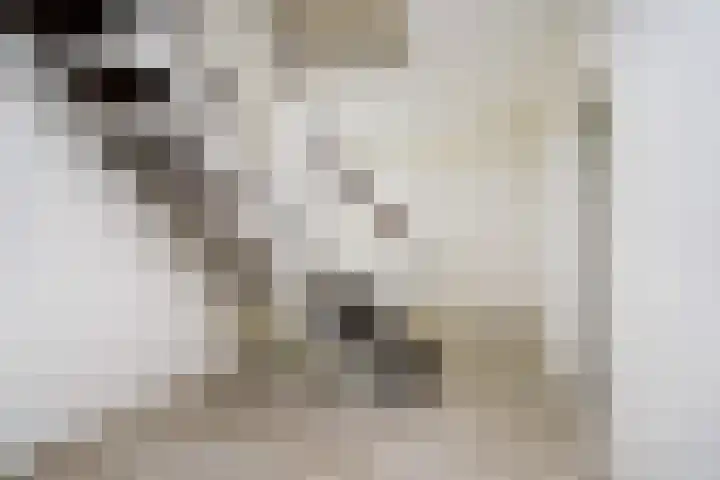 Laurensvliet 1 Zwijndrecht thumbnail 13