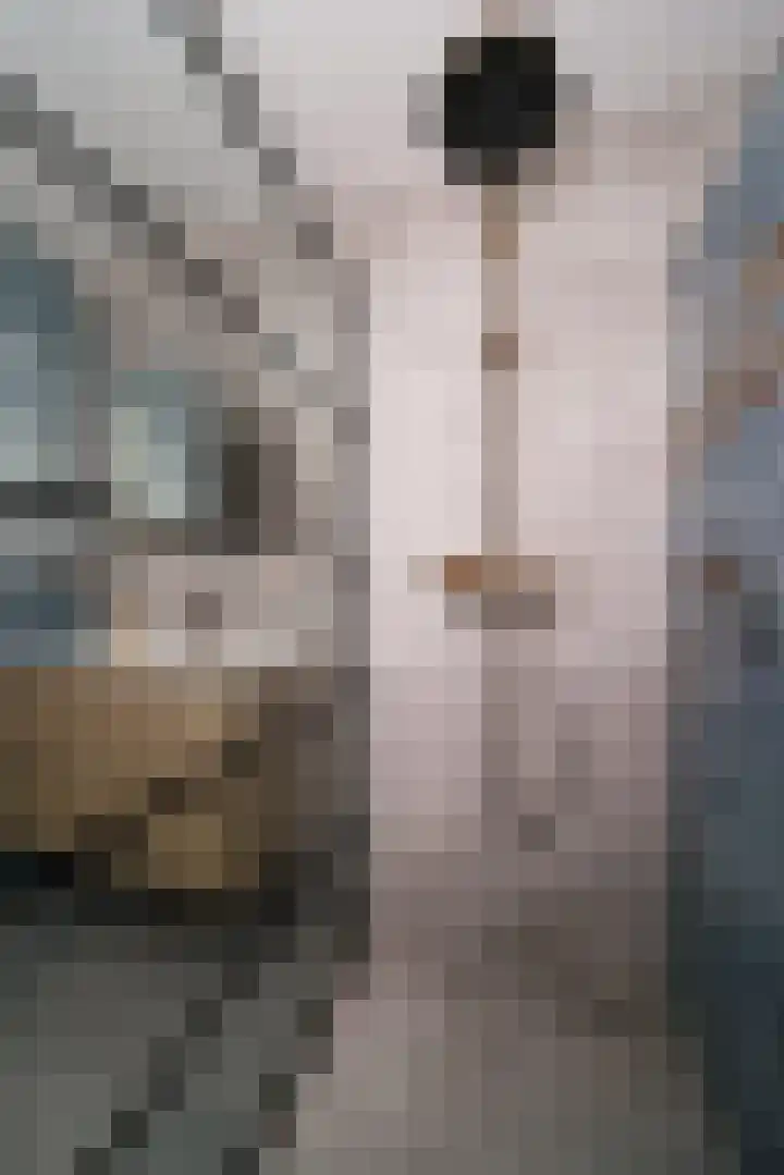 Laurensvliet 1 Zwijndrecht thumbnail 30