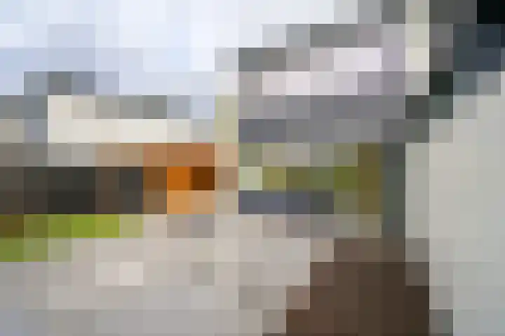 Laurensvliet 1 Zwijndrecht thumbnail 31