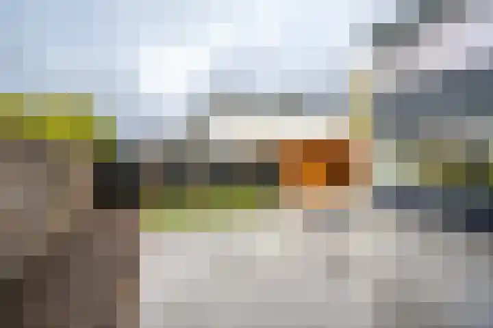 Laurensvliet 1 Zwijndrecht thumbnail 32