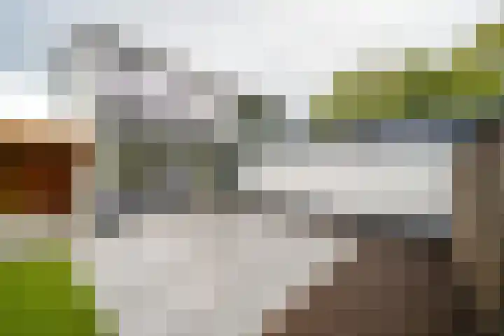 Laurensvliet 1 Zwijndrecht thumbnail 33