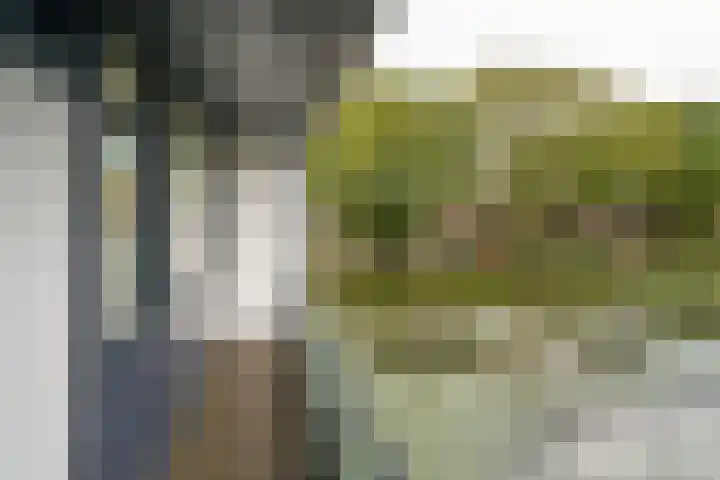 Laurensvliet 1 Zwijndrecht thumbnail 35