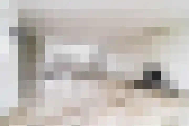 Laurensvliet 1 Zwijndrecht thumbnail 5