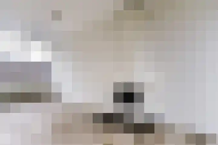 Laurensvliet 1 Zwijndrecht thumbnail 7