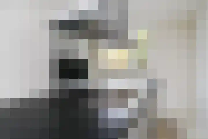 Laurensvliet 1 Zwijndrecht thumbnail 8