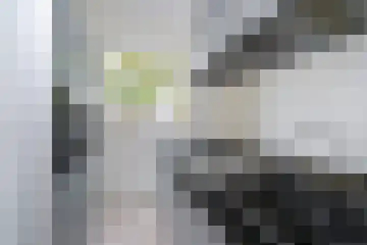 Laurensvliet 1 Zwijndrecht thumbnail 9