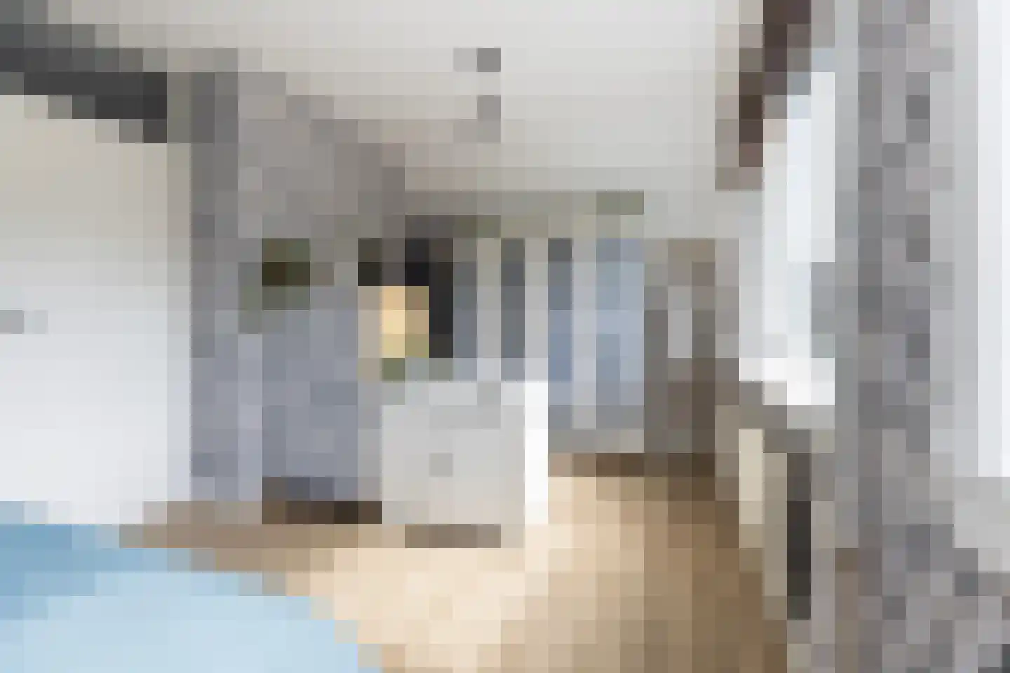 Laurensvliet 2 E Zwijndrecht thumbnail 23