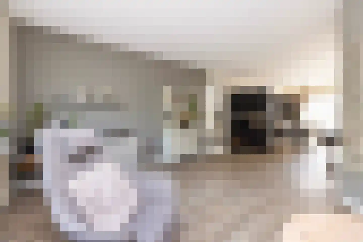 Laurensvliet 2 E Zwijndrecht thumbnail 7