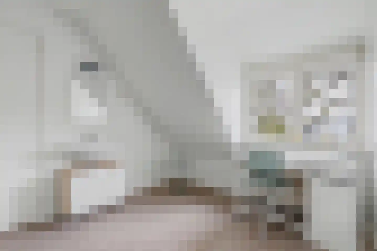 Laurensvliet 4 Zwijndrecht thumbnail 37