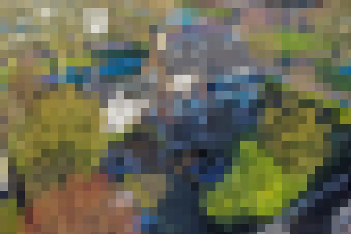 Laurensvliet 4 Zwijndrecht thumbnail 66
