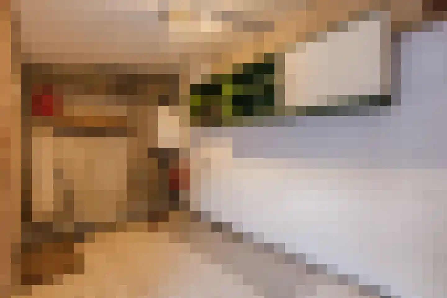 Laurent Rampartstraat 15 Halsteren thumbnail 33