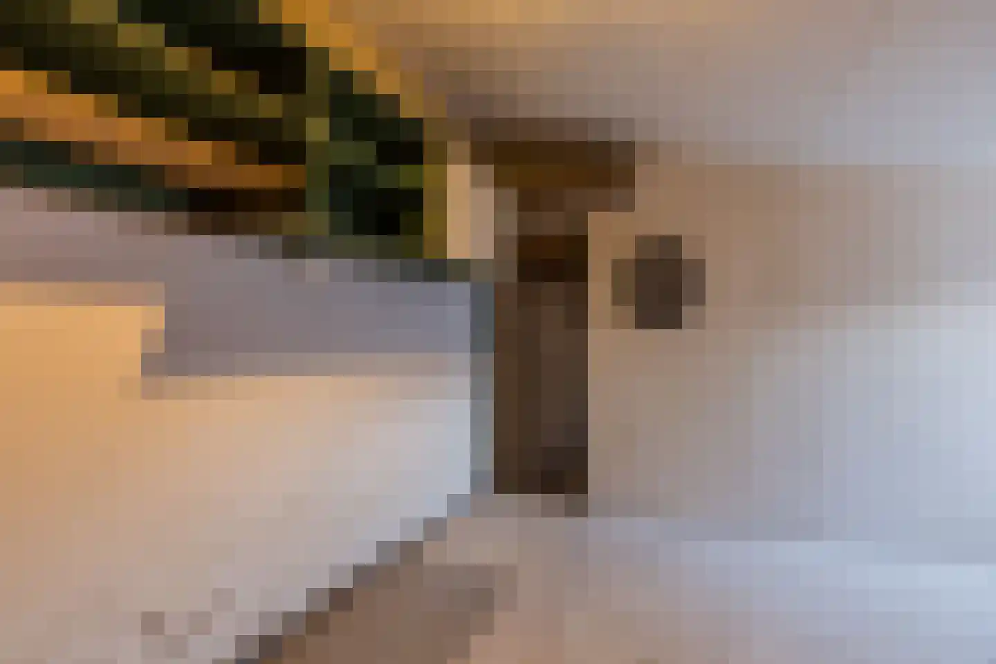 Laurent Rampartstraat 15 Halsteren thumbnail 34
