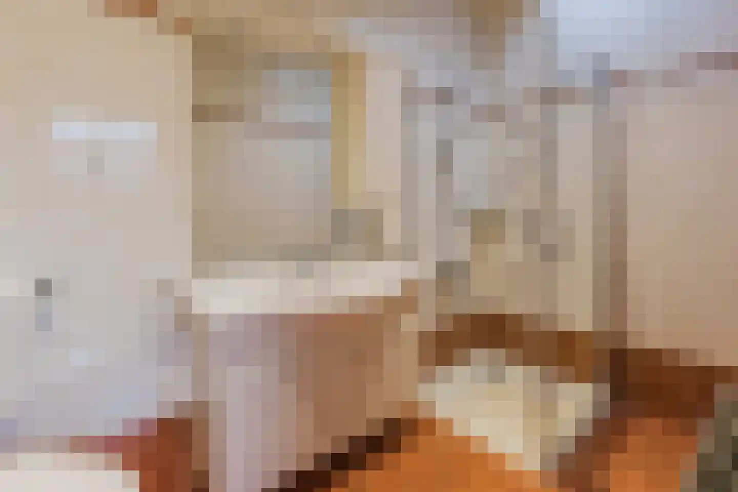 Laurent Rampartstraat 15 Halsteren thumbnail 4