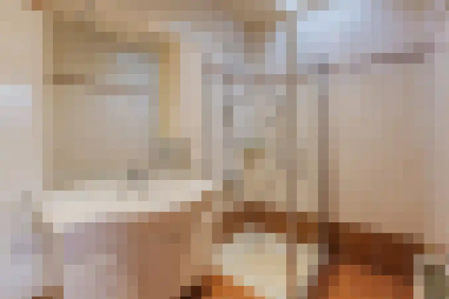 Laurent Rampartstraat 15 Halsteren thumbnail 45